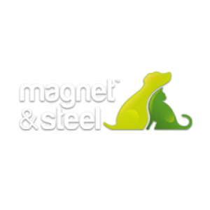 Magnetandsteel Magnetandsteel